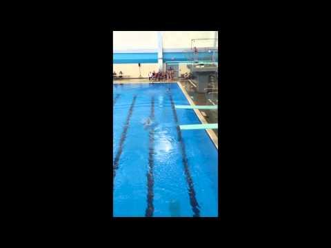 Video of Madison Gess - 1M Diving - Video 3 - Dick Wilson Invite