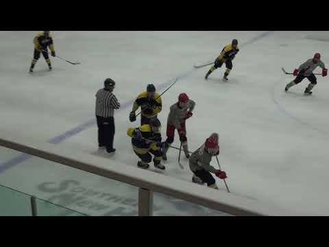 Video of #30 Gray 46 Save Shutout NHAHA State Champs_11-19-17