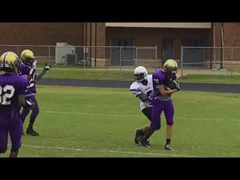 Video of Quayde Hawkins 2017 9th grade football QB