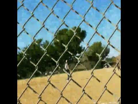 Video of Triple - Right Field Hit the Fence 280ft