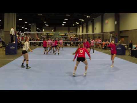 Video of S. MERRITT #15 SETTER 2017