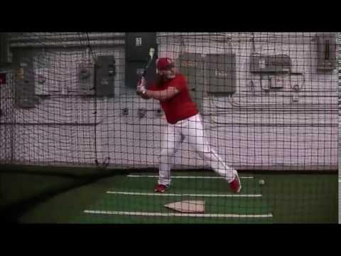 Video of batting cage live