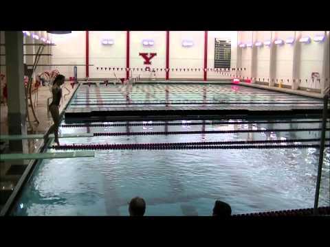 Video of Exhibition Meet - January 28, 2015