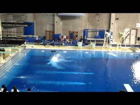 Video of Various Platform Dives