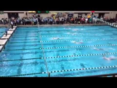 Video of 100 Back at Sport Fair