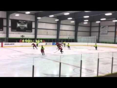 Video of Elena Boyle 42 Red US Hockey Central District Selection Camp