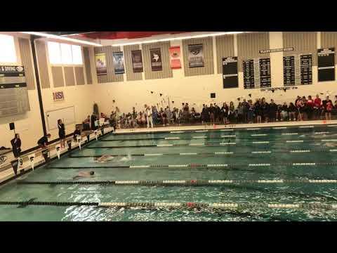 Video of Brooke HS Sectionals 500 Freestyle 1st Place