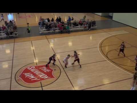 Video of Lauren Pank #2 St. Francis 2016/2017 Highlights Part 1