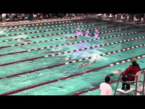 Video of 200 LCM fly 2013 IL Senior Champs