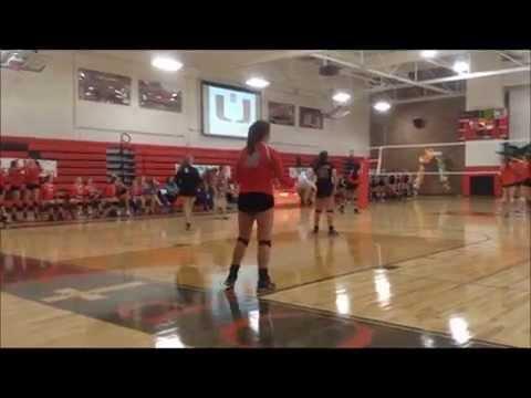 Video of Setter 39-red, 18 black