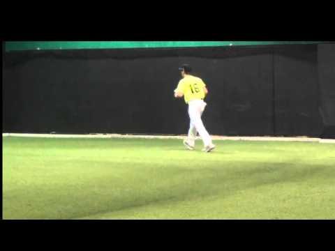 Video of December 2015 Fielding