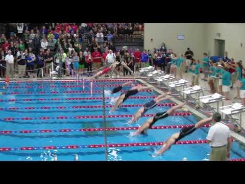 Video of 2017 Iowa Girls HS State:  100yd Fly - Berit in lane 4