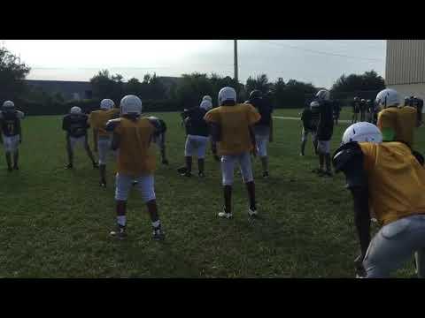 Video of Practice Plays