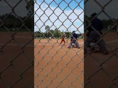 Video of Bunting