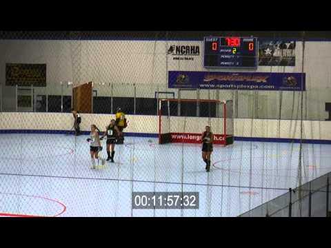 Video of 2015 Indoor Showcase