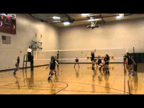 Video of Jenny Townsend Setter Highlights