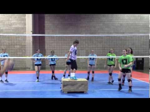 Video of Green 4 - Noel Jeansonne - Setter