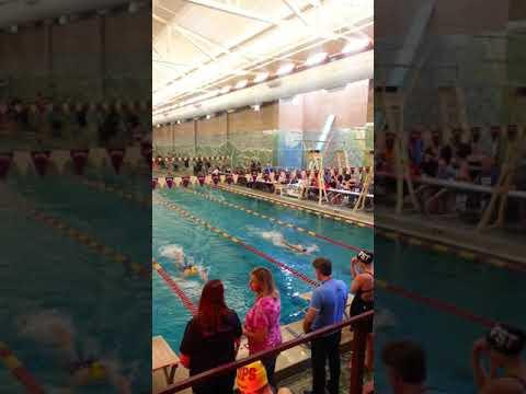 Video of 100 Y free Senior State Feb 2017