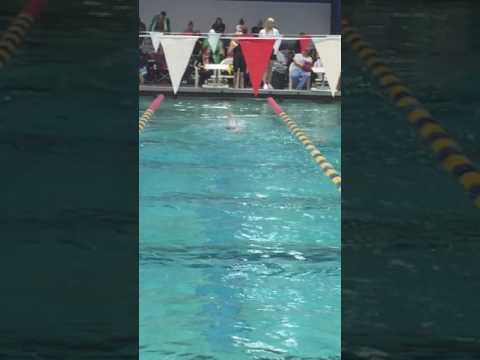 Video of S. Gobora 200 Back SCY 2:15.73 December 11, 2016