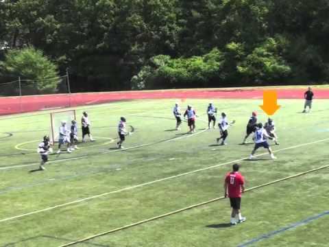 Video of Summer 2014 Updated Roundup-Ezra Ende 