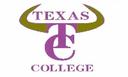 Texas College