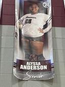 profile image for Alyssa M Anderson