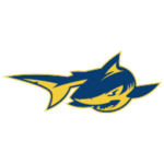 Simmons University logo